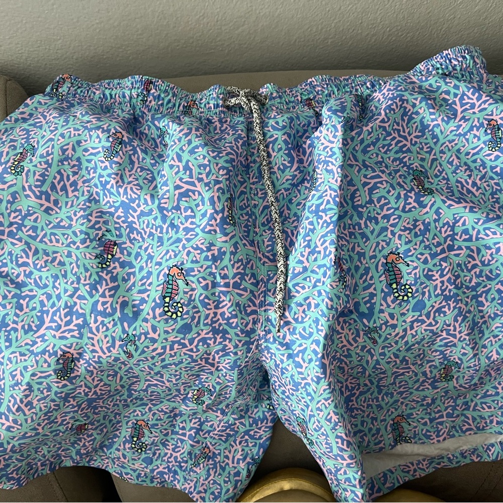 Michaels Blue and Pink Swim Trunks